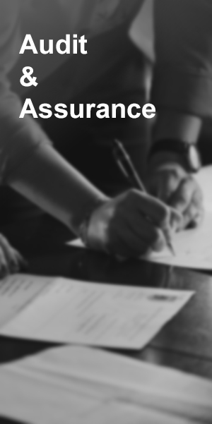 財務報表簽證服務